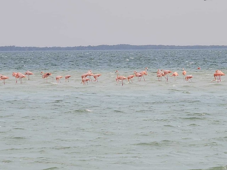 Hotel Puerto Holbox Beach Front