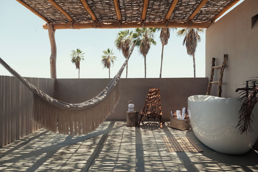 Proyecto Palmita